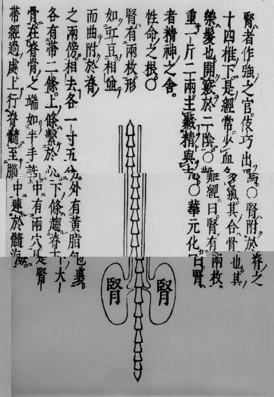 大阪　鍼灸院（針灸院）